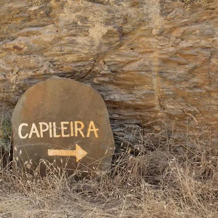 Casa Rural Los Castanos - Alpujarra Appartement Capileira